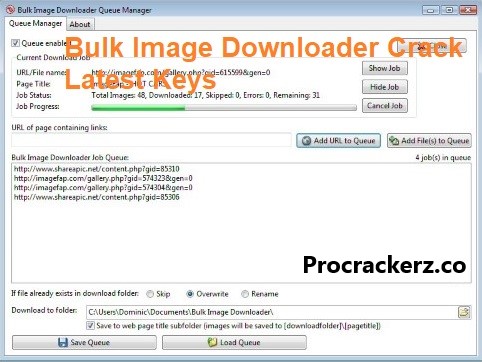 Bulk Image Downloader 6.41.0 Crack + Key [2024] Download